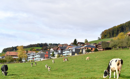 Thêm hai lô sữa bột trẻ em của Nestlé bị thu hồi tại châu Âu