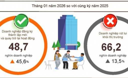 Tháng 1/2026: Doanh nghiệp thành lập mới tăng gần 127%