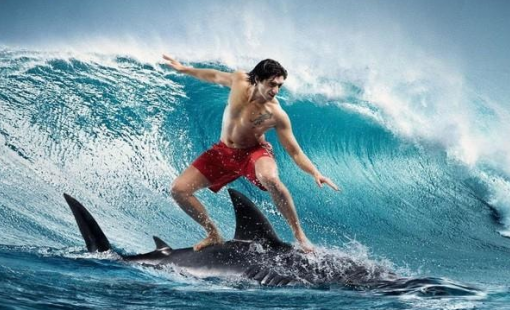 Dấu hiệu VN-Index tạo đáy thành công và sắp bước vào sóng mới?