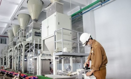 “Giải cứu” bất thành Hóa chất Đức Giang