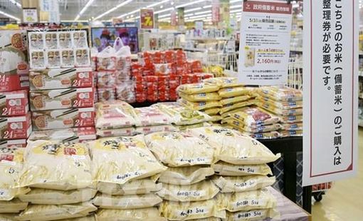 Thị trường nông sản: Giá gạo châu Á chịu sức ép từ chi phí vận tải