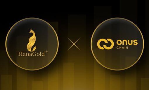 Công ty có quan hệ mật thiết với ONUS và HanaGold: Vốn mỏng, lợi nhuận cả năm chỉ vài tỷ nhưng ôm tham vọng làm sàn tài sản số