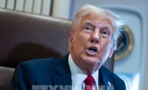 Mỹ: Tổng thống D.Trump dọa điều động ICE đến các sân bay trên toàn quốc