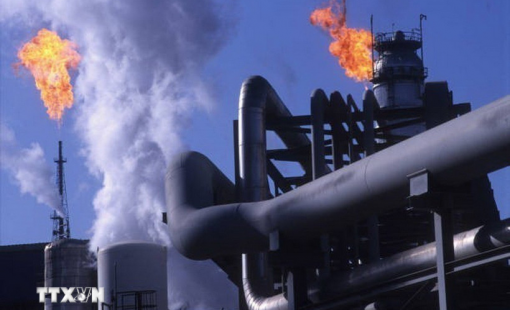 Giá dầu giảm hơn 13% sau quyết định hoãn chiến tranh của Mỹ với Iran