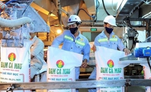 Một doanh nghiệp phân bón lớn lên kế hoạch lãi sụt giảm 40%