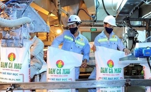 Một doanh nghiệp phân bón lớn lên kế hoạch lãi sụt giảm 40%