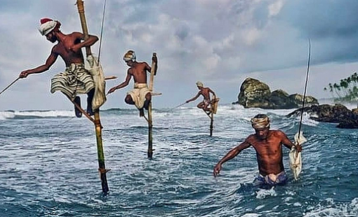 VinaCapital: Bất kỳ nhịp sụt giảm đáng kể nào của VN-Index đều là cơ hội mua vào