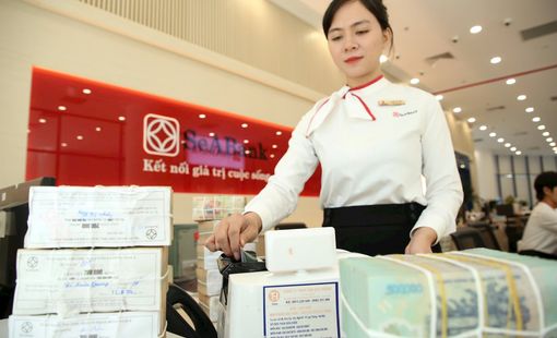Những dấu ấn phát triển của SeABank năm 2025