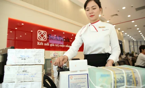 Những dấu ấn phát triển của SeABank năm 2025