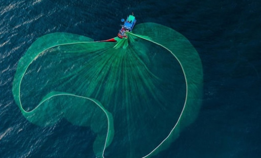 Loạt dự báo bất ngờ về thị trường chứng khoán sau phiên giảm điểm kỷ lục