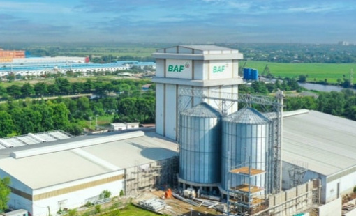 BAF muốn chia thưởng và trả cổ tức 20%, đưa CEO Siba Holdings vào Hội đồng quản trị