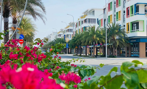 Các 'huyền thoại' ngành sản xuất của Việt Nam như Hòa Phát, Tân Á Đại Thành, Bitis, KIDO đang làm bất động sản ra sao?
