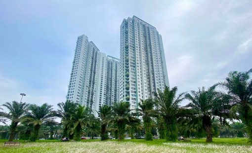 Hạ lãi suất: “Ngòi nổ” kích hoạt chu kỳ mới của bất động sản