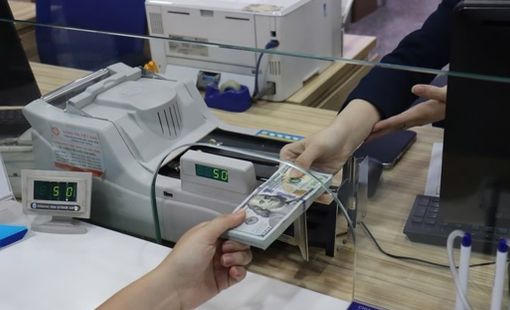 Quý I/2026, kiều hối về TP. Hồ Chí Minh đạt hơn 2,004 tỷ USD
