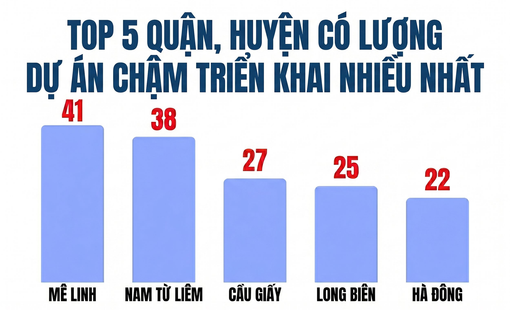 Bóc 341 dự án "đắp chiếu" tại Hà Nội: Mê Linh dẫn đầu số lượng dự án, hàng loạt doanh nghiệp đình đám Viglacera, Geleximco, Nam Cường, Sudico...bị điểm tên