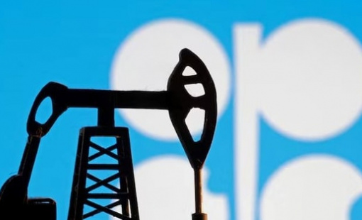 OPEC+ chuẩn bị báo tin cực vui ra thị trường