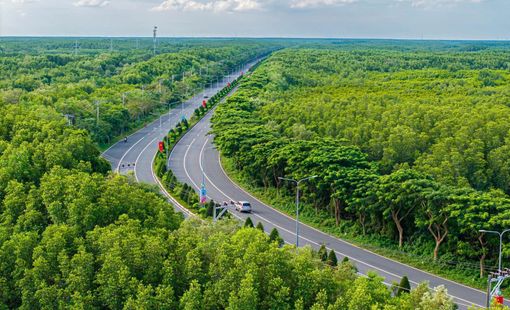 Đề xuất xây hai đảo nhân tạo trên biển, gần TP HCM