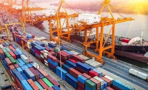 Xuất khẩu nông sản quý I/2026 tăng mạnh: Hoa Kỳ, Trung Quốc dẫn đầu, sầu riêng và cà phê bùng nổ