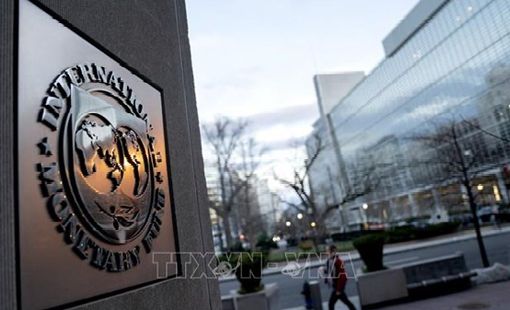 IMF cảnh báo khủng hoảng thị trường từ hệ thống tài chính mã hóa