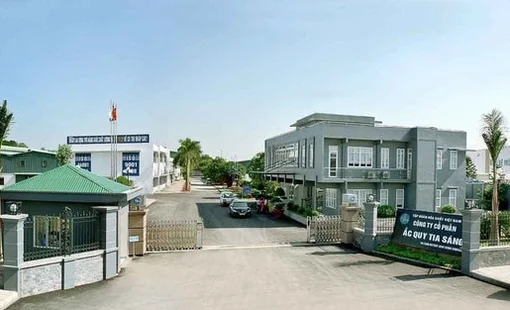 Phạt, truy thu thuế Công ty con của Hóa chất Đức Giang