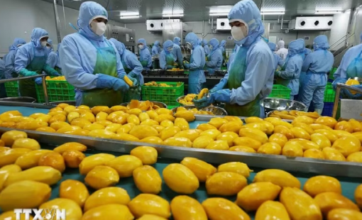 WB: Việt Nam là một điển hình về khả năng biến thách thức thành cơ hội