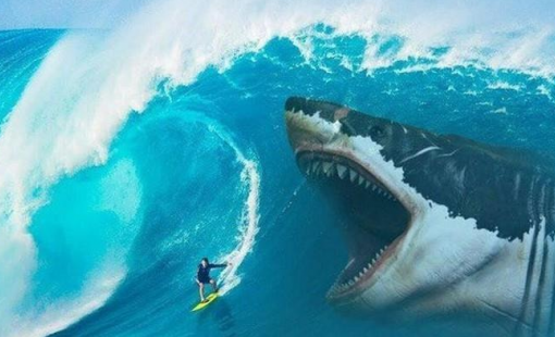 Góc nhìn chuyên gia: VN-Index khó tăng bền vững nếu không có một nhịp chỉnh lành mạnh trước