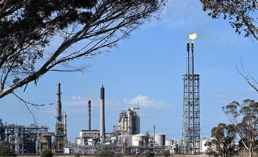 OPEC hạ dự báo tăng trưởng nhu cầu dầu toàn cầu