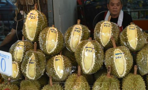 Thái Lan siết chặt kiểm soát chất lượng sầu riêng