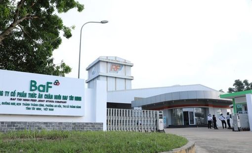 Lợi nhuận dự báo “bùng nổ” 485%, vì sao cổ phiếu BAF vẫn giao dịch ì ạch?