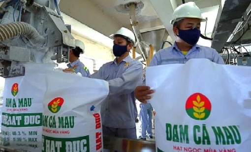Hưởng lợi lớn từ “cơn sốt” urê toàn cầu, Đạm Cà Mau (DCM) báo lãi đột biến trong quý 1