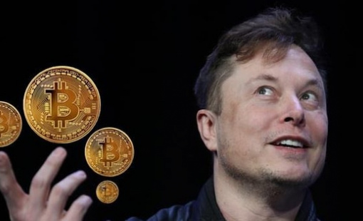SpaceX của Elon Musk hé lộ số Bitcoin đang nắm giữ ngay trước thương vụ IPO lịch sử