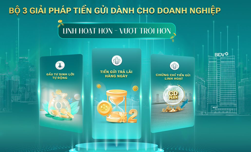 BIDV cung cấp giải pháp tiền gửi vượt trội cho doanh nghiệp