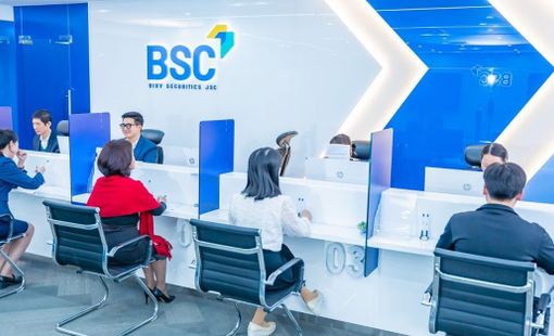 BSC phát hành hơn 24,5 triệu cổ phiếu trả cổ tức