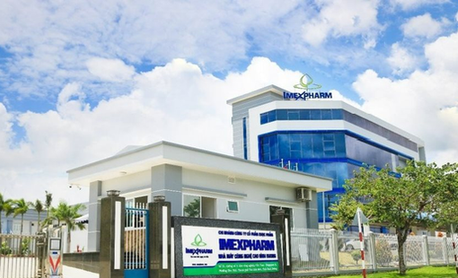 Cổ phiếu IMP “lao dốc” mạnh sau thương vụ bị thâu tóm, chuyện gì đang xảy ra?