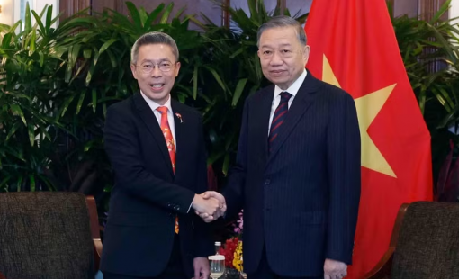 Tổng Bí thư, Chủ tịch nước Tô Lâm tiếp các doanh nghiệp lớn của Singapore