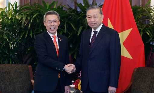Tổng Bí thư, Chủ tịch nước Tô Lâm tiếp các doanh nghiệp lớn của Singapore