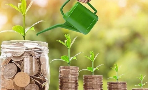 Một công ty chốt ngày trả cổ tức tiền mặt tỷ lệ 20,22%