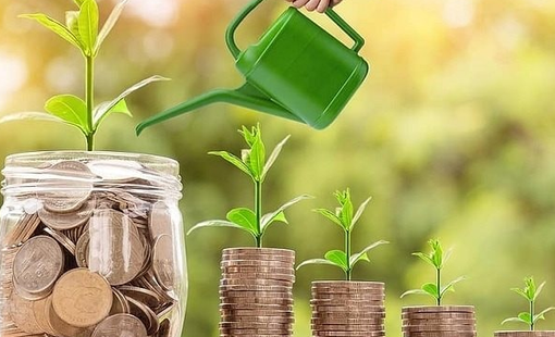 Một công ty chốt ngày trả cổ tức tiền mặt tỷ lệ 20,22%