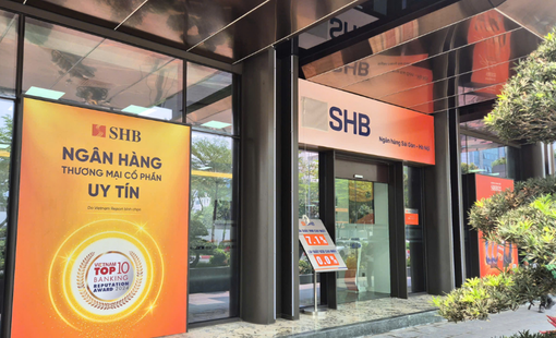 SHB sắp phát hành 2.000 tỷ đồng trái phiếu, vốn điều lệ tăng lên 47.942 tỷ đồng