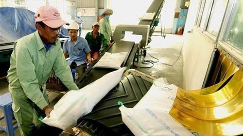 Giá gạo Việt Nam tăng mạnh, ngũ cốc Mỹ đồng loạt giảm