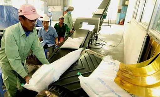 Giá gạo Việt Nam tăng mạnh, ngũ cốc Mỹ đồng loạt giảm