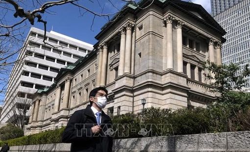 BoJ có thể tạm hoãn kế hoạch giảm mua trái phiếu vào năm tới