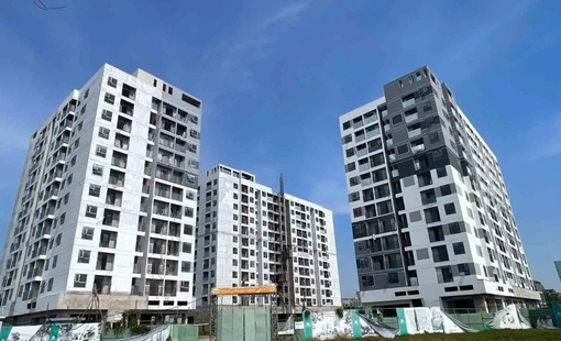 Đề xuất xây căn hộ nhỏ 15 m2 phục vụ nhu cầu của người độc thân hoặc hộ gia đình ít người