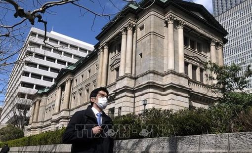 BoJ dự kiến tăng lãi suất lên mức cao nhất 31 năm để kìm lạm phát
