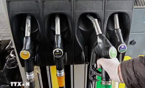 Ấn Độ miễn thuế tiêu thụ đặc biệt đối với xăng pha ethanol tỷ lệ cao