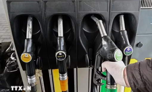 Ấn Độ miễn thuế tiêu thụ đặc biệt đối với xăng pha ethanol tỷ lệ cao