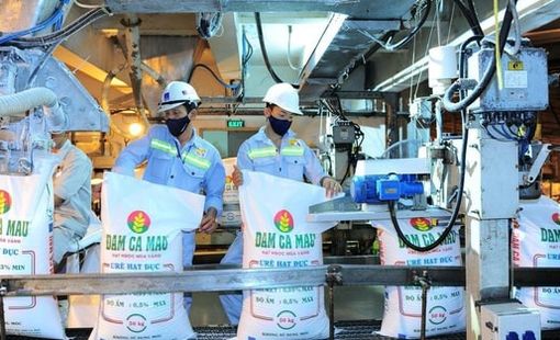 Sau nhịp giảm gần 30% từ đỉnh, một cổ phiếu phân bón được dự báo còn dư địa tăng 40%