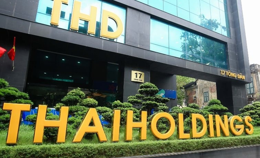 Cổ phiếu Thaiholdings (THD) lại tăng kịch trần, vốn hóa áp sát 64.000 tỷ đồng