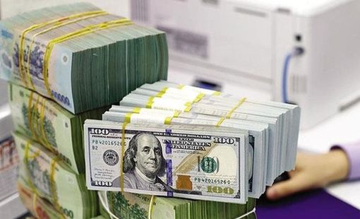 Vì sao tỷ giá USD ổn định dù Việt Nam nhập siêu gần 14 tỷ USD?