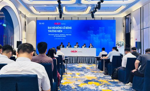 ĐHĐCĐ Hạ tầng Gelex: Lãi bán niên gần 1.000 tỷ đồng, dự kiến chào bán riêng lẻ 100 triệu cổ phiếu